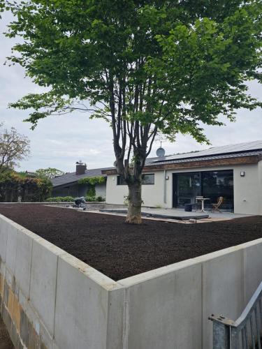 WhatsApp Image 2024-02-09 at 14.47.36 (1)